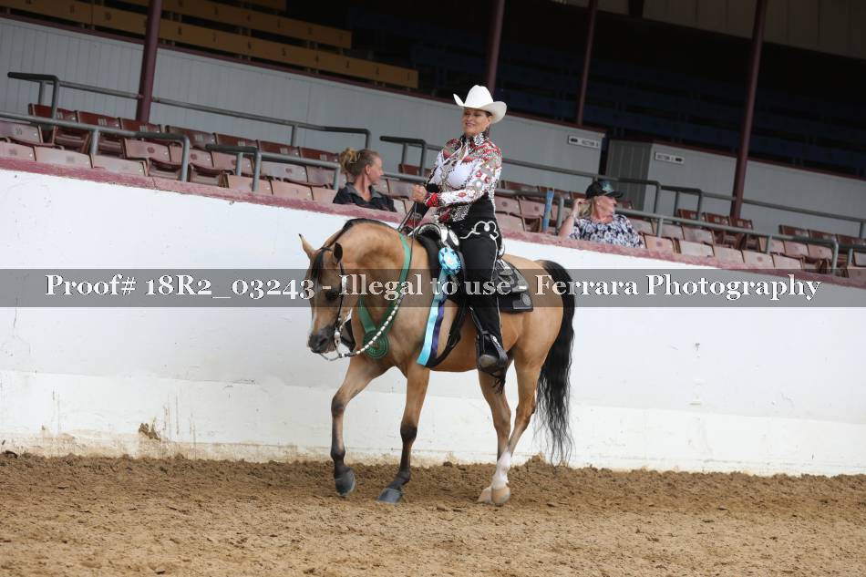 Proof Number 18R2_03243