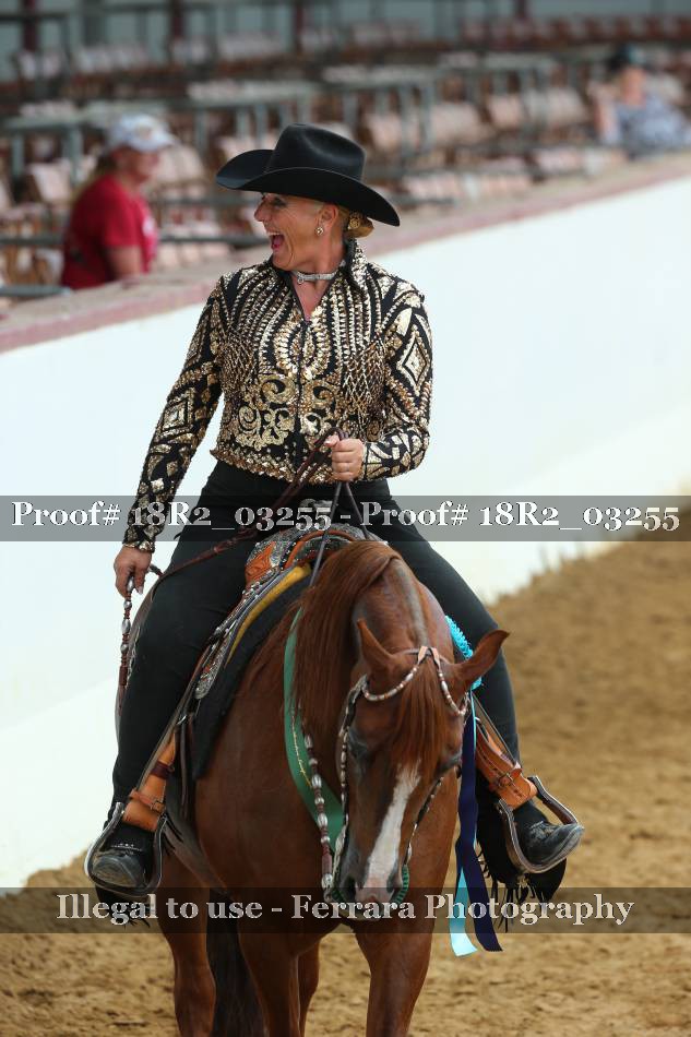 Proof Number 18R2_03255