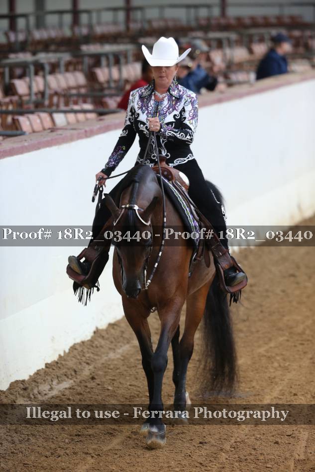 Proof Number 18R2_03440