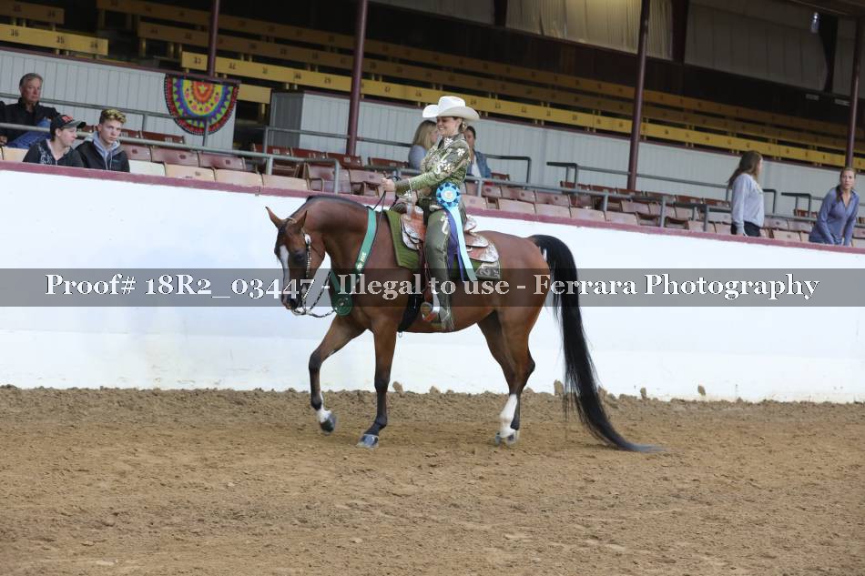 Proof Number 18R2_03447