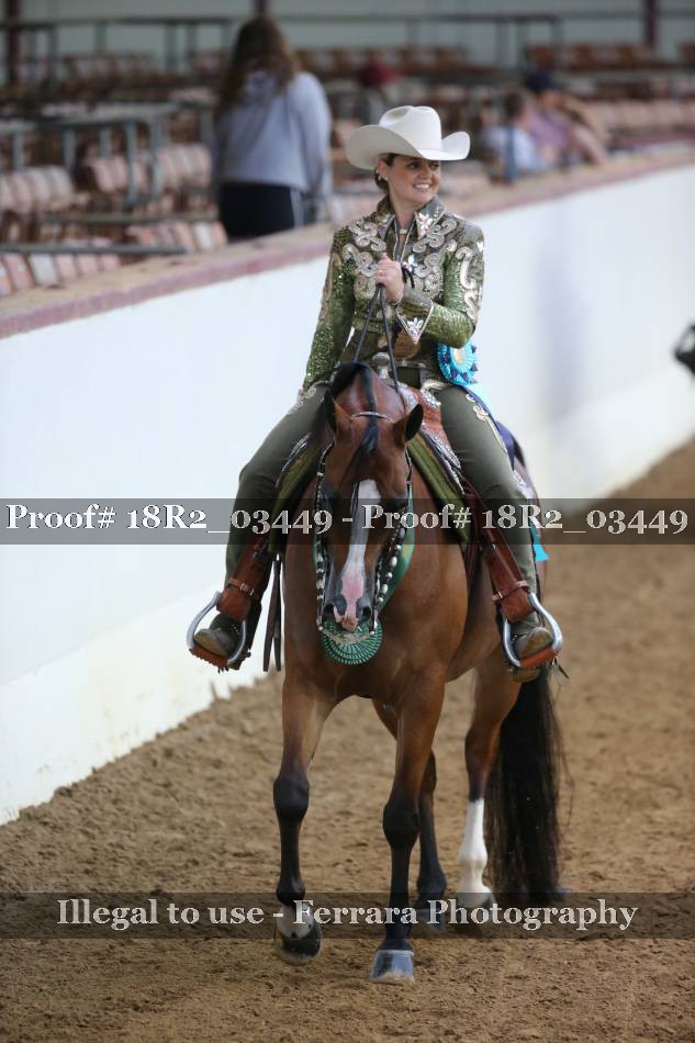Proof Number 18R2_03449