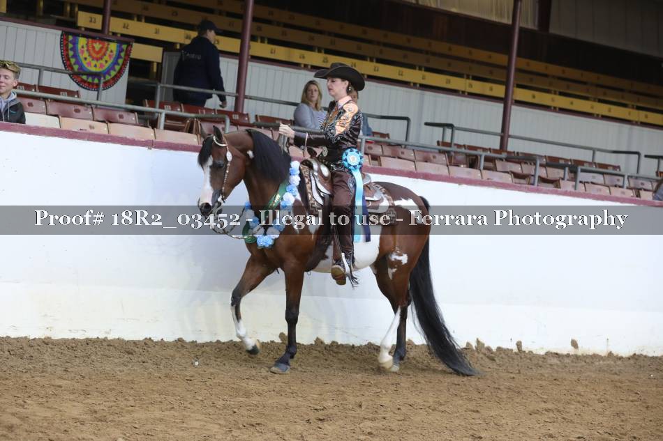 Proof Number 18R2_03452