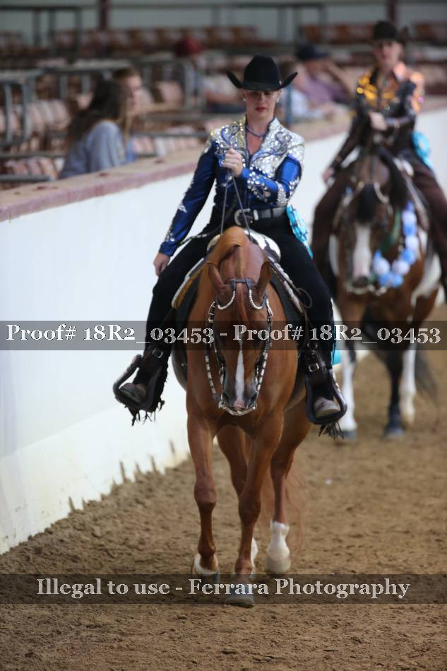 Proof Number 18R2_03453