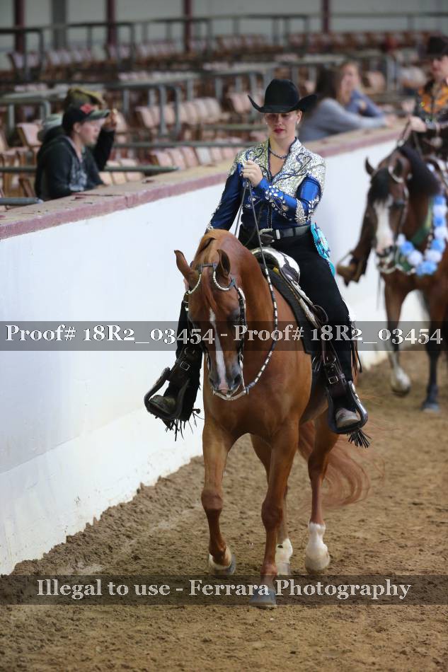 Proof Number 18R2_03454