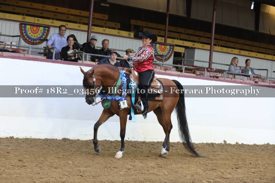 Proof Number 18R2_03456
