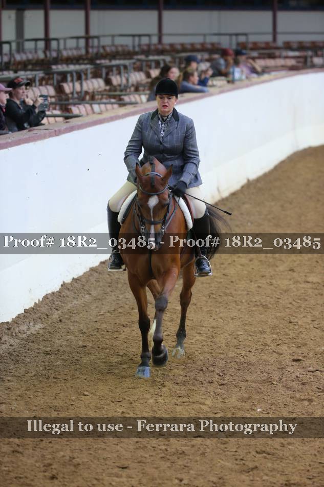 Proof Number 18R2_03485