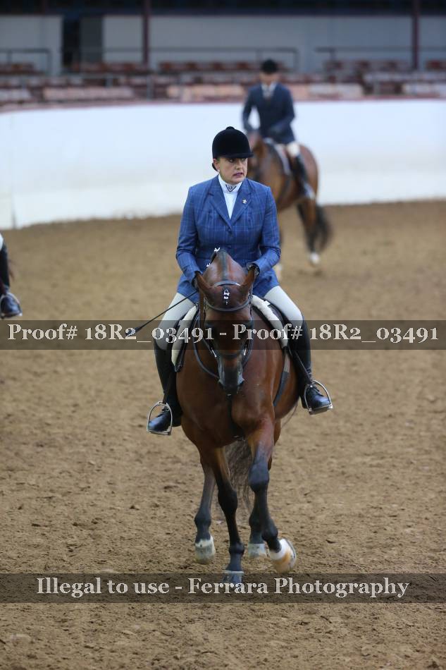 Proof Number 18R2_03491