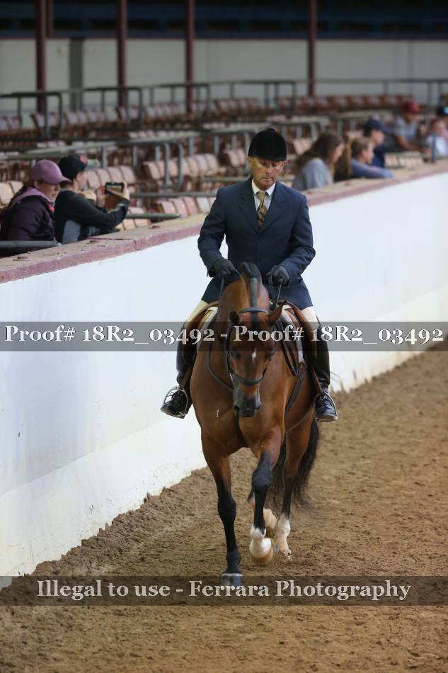 Proof Number 18R2_03492
