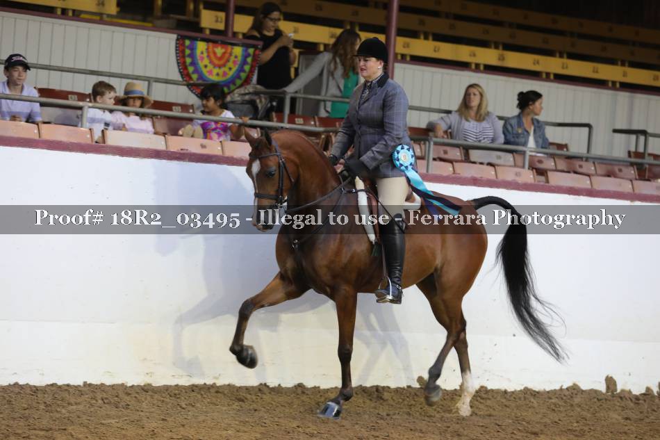 Proof Number 18R2_03495