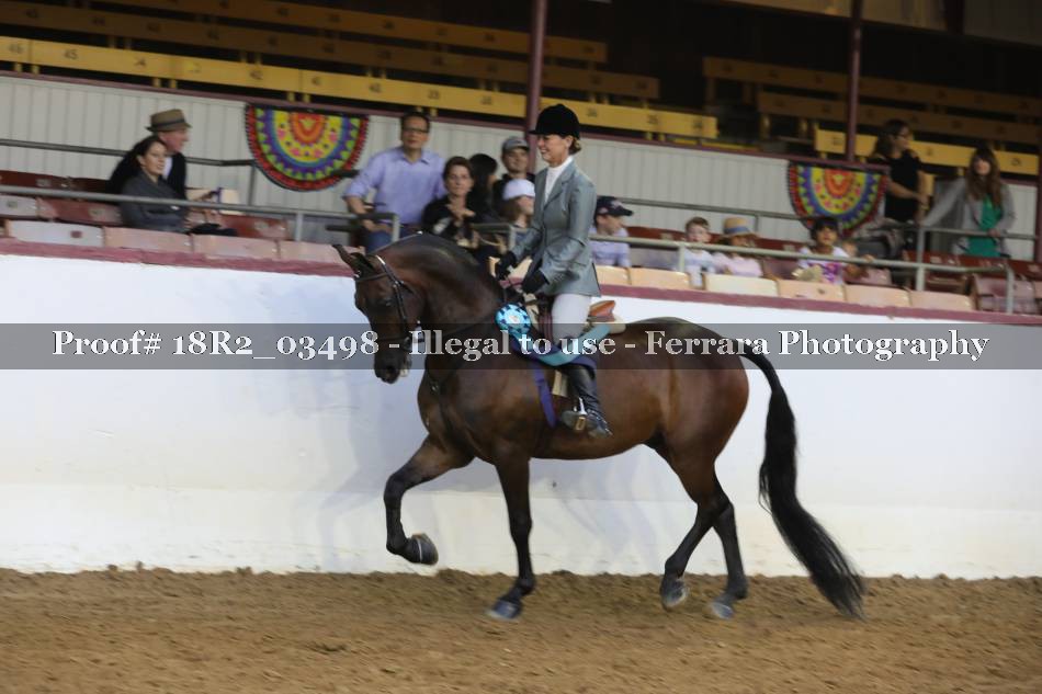 Proof Number 18R2_03498