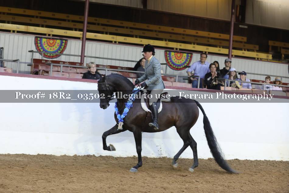 Proof Number 18R2_03502