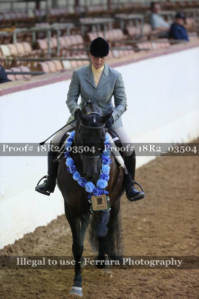 Proof Number 18R2_03504