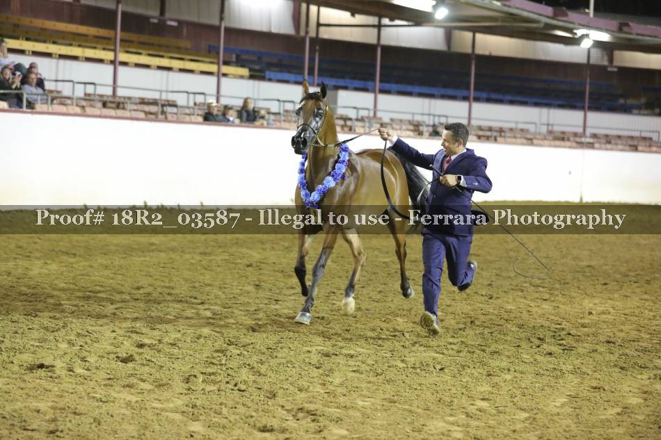 Proof Number 18R2_03587