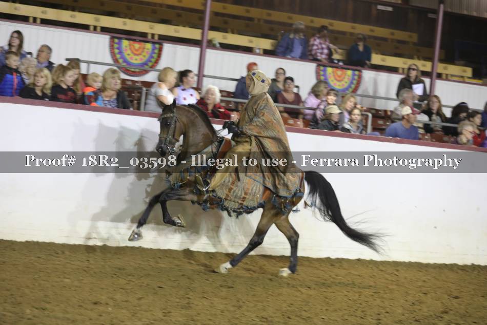 Proof Number 18R2_03598