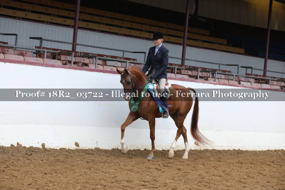 Proof Number 18R2_03722