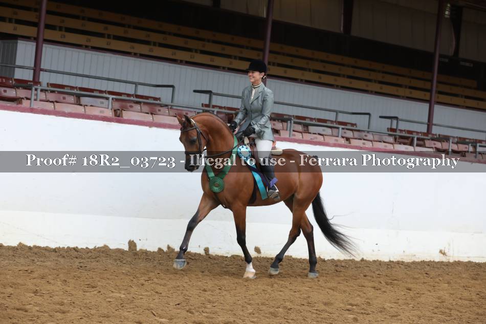 Proof Number 18R2_03723