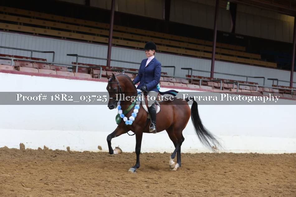 Proof Number 18R2_03725
