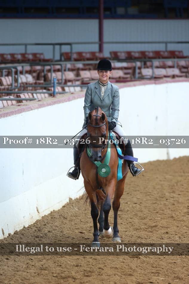 Proof Number 18R2_03726