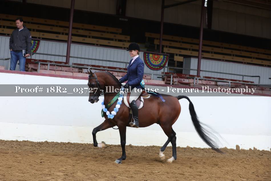 Proof Number 18R2_03727