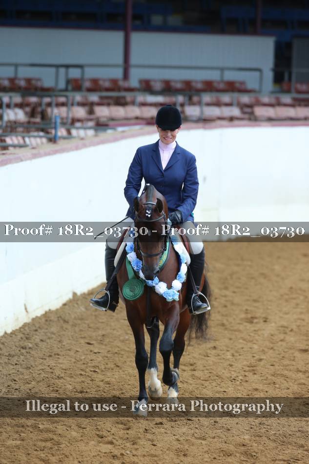 Proof Number 18R2_03730