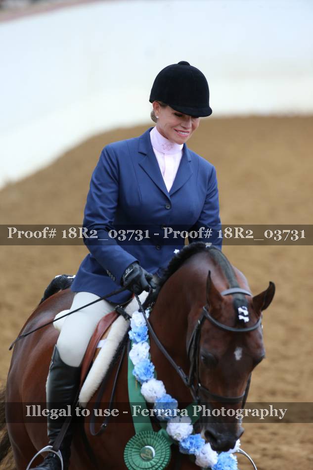 Proof Number 18R2_03731