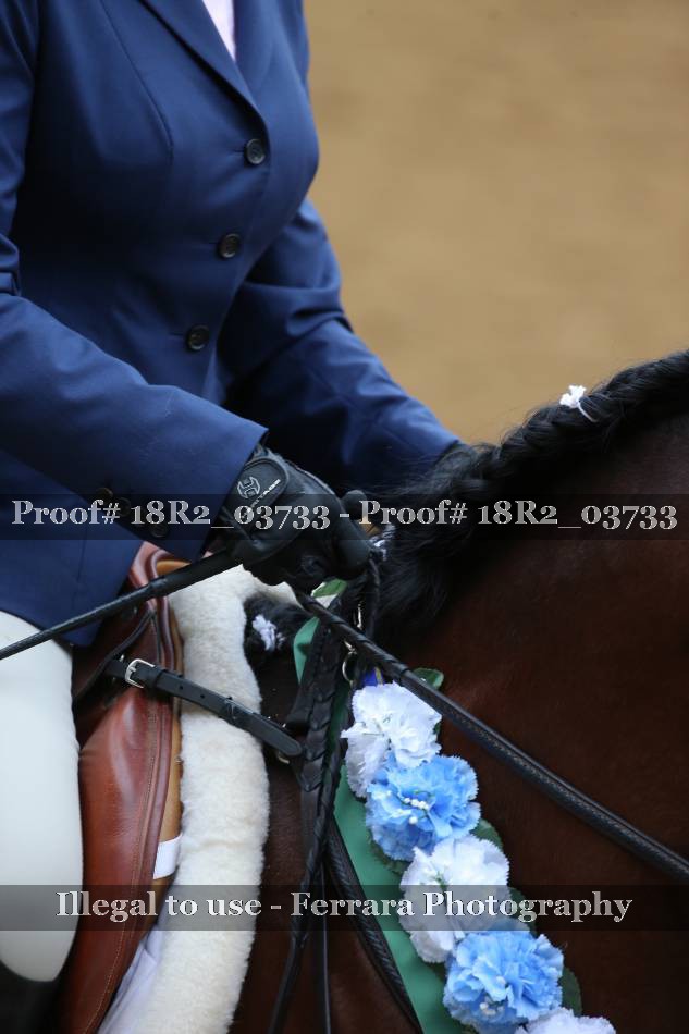 Proof Number 18R2_03733
