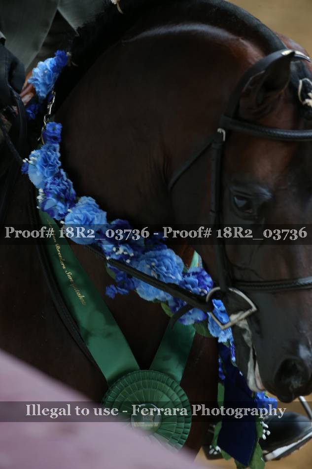 Proof Number 18R2_03736