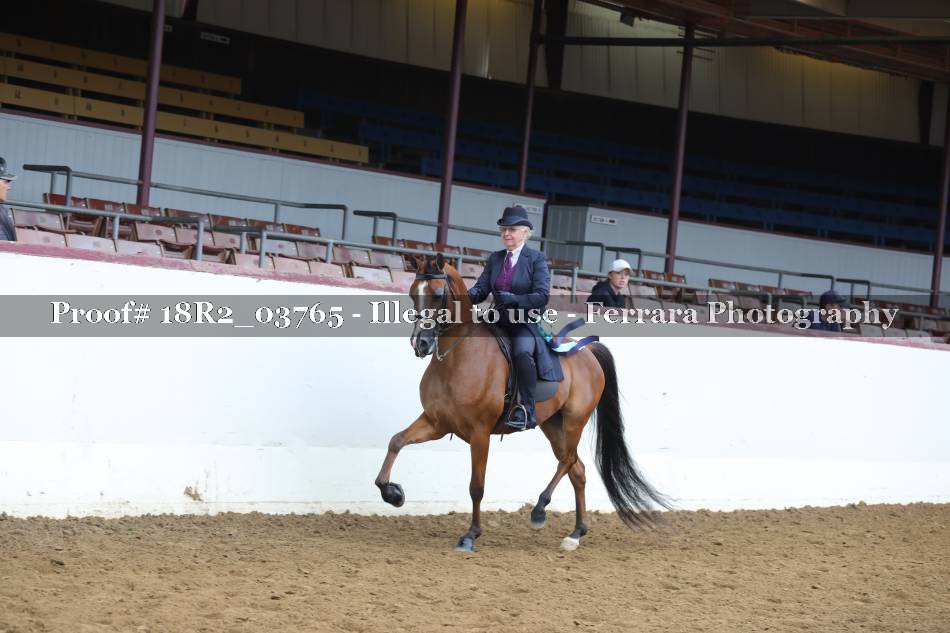 Proof Number 18R2_03765