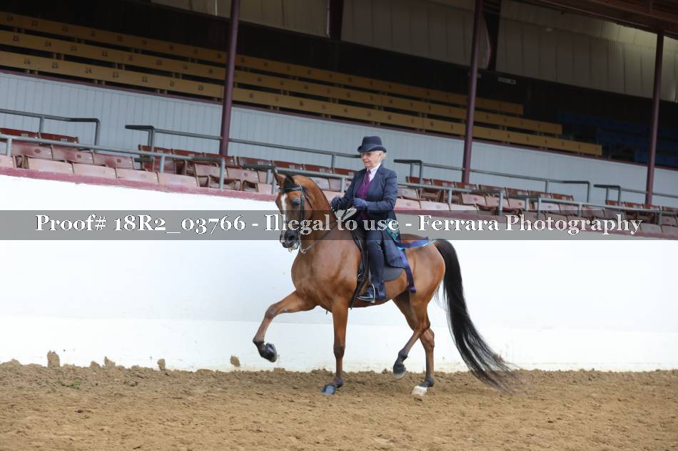 Proof Number 18R2_03766