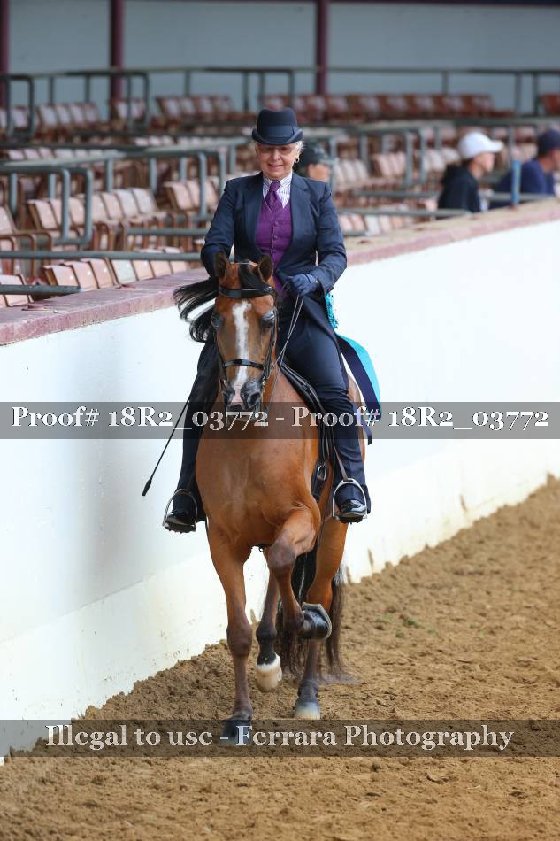 Proof Number 18R2_03772