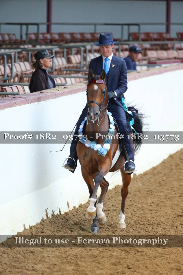 Proof Number 18R2_03773