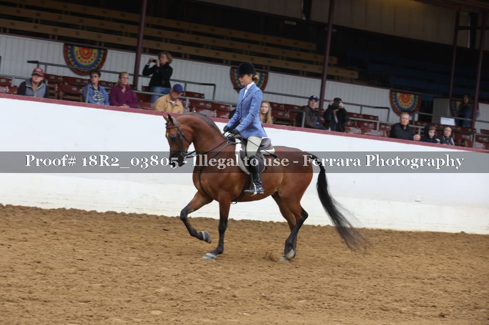 Proof Number 18R2_03805