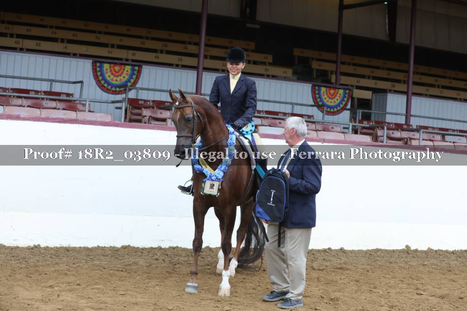 Proof Number 18R2_03809