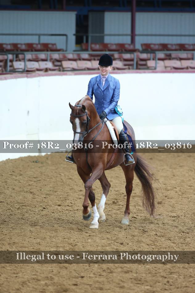 Proof Number 18R2_03816