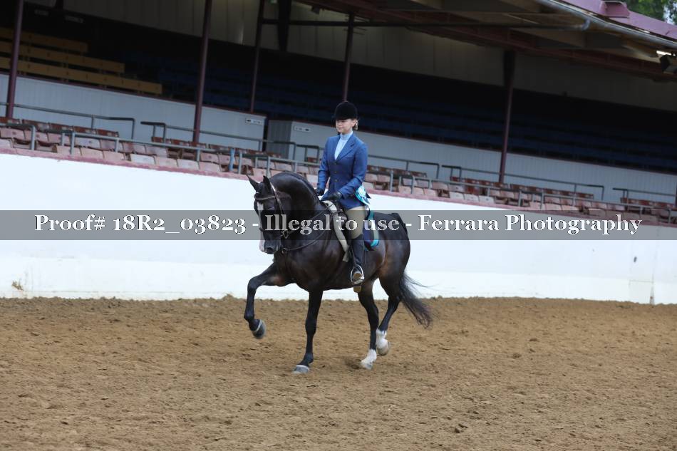 Proof Number 18R2_03823