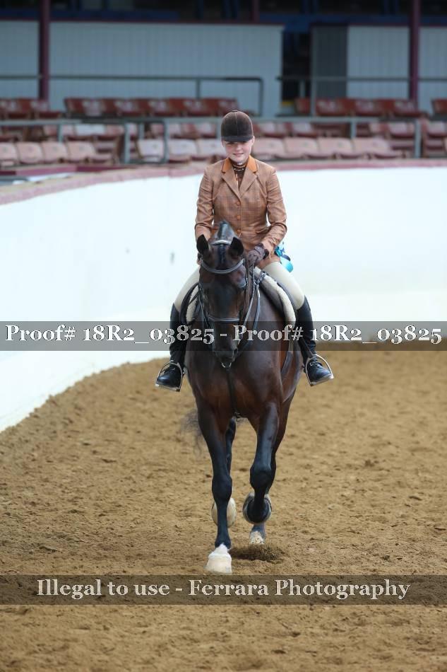 Proof Number 18R2_03825