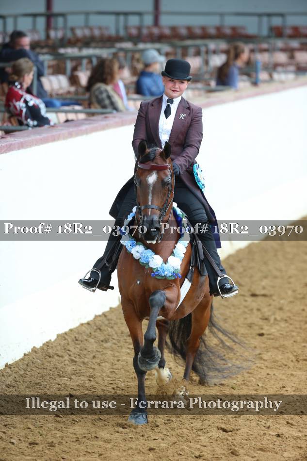 Proof Number 18R2_03970