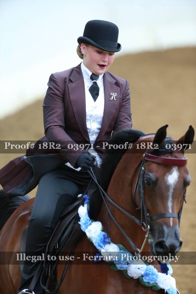 Proof Number 18R2_03971