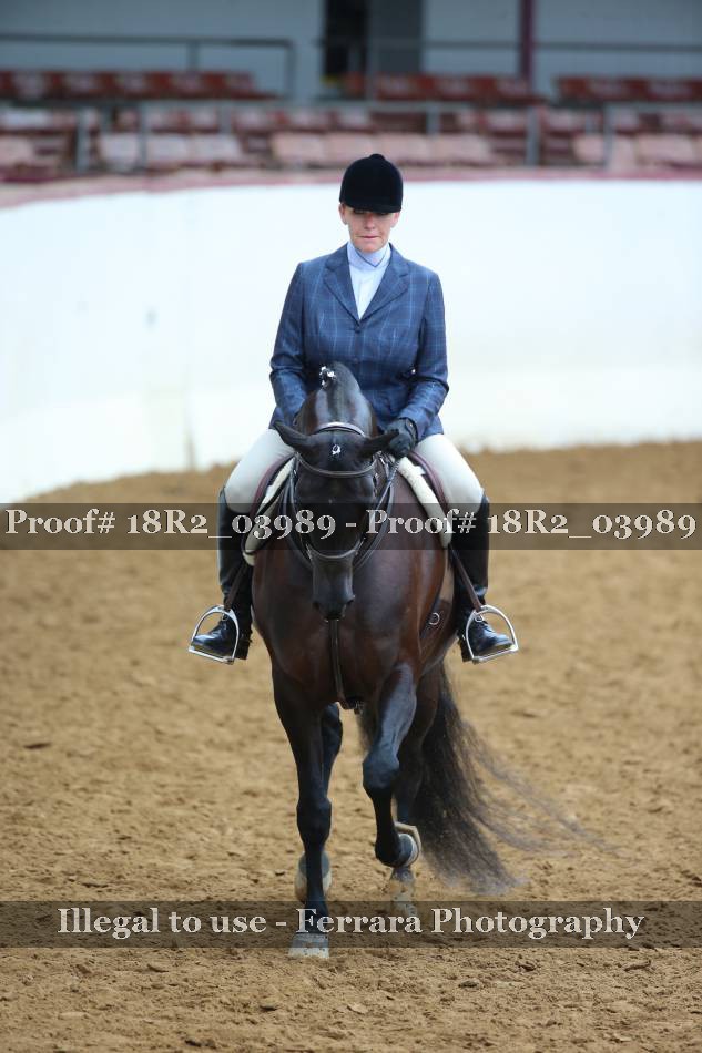 Proof Number 18R2_03989