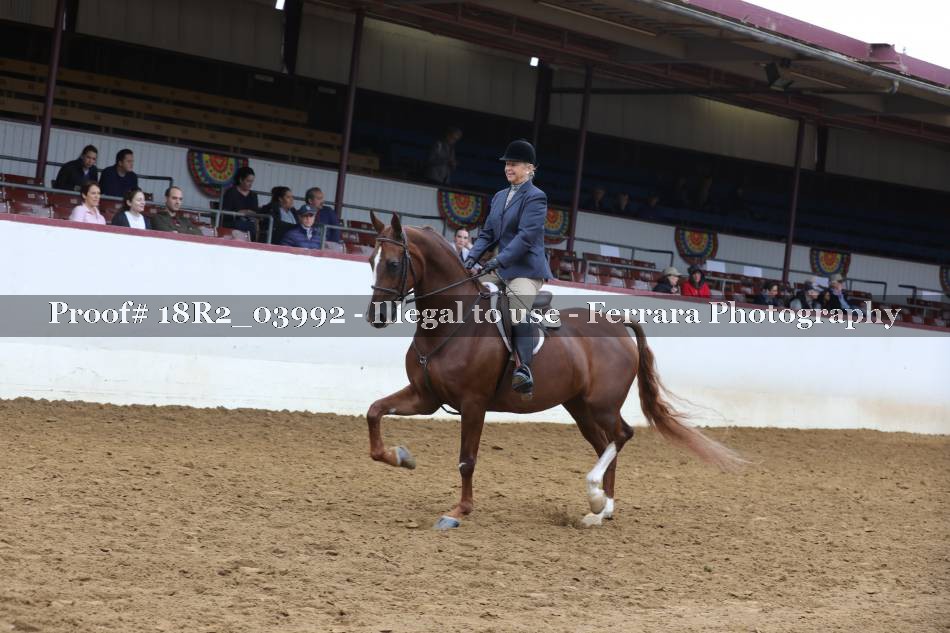 Proof Number 18R2_03992