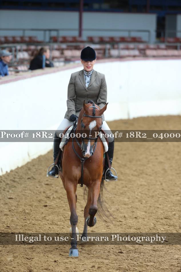 Proof Number 18R2_04000
