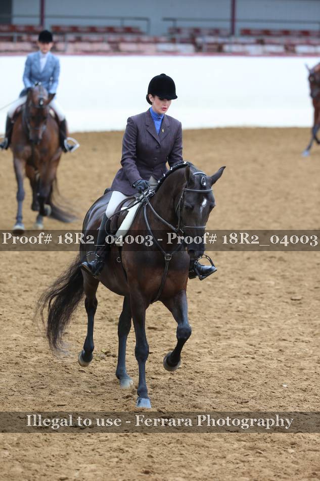 Proof Number 18R2_04003