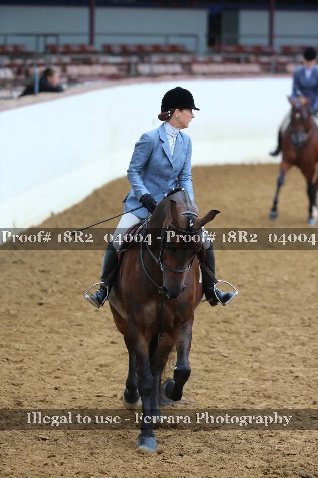 Proof Number 18R2_04004