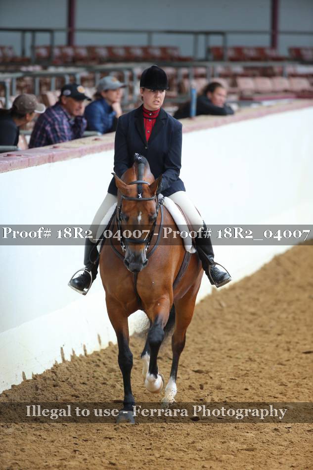 Proof Number 18R2_04007