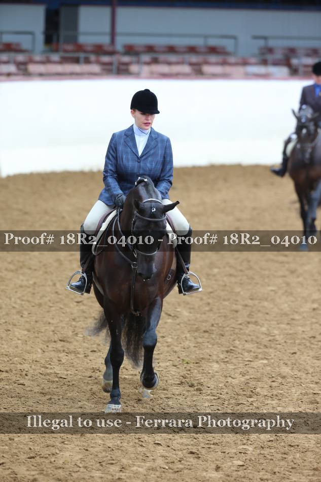 Proof Number 18R2_04010