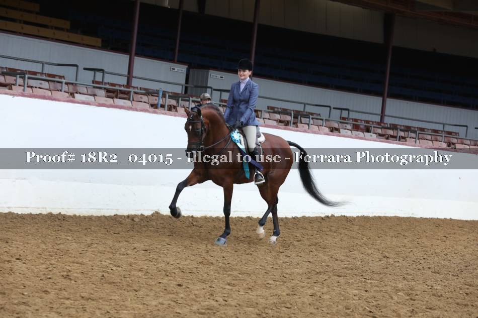 Proof Number 18R2_04015