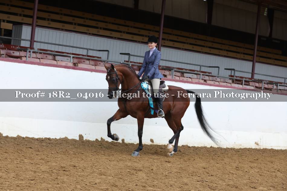 Proof Number 18R2_04016