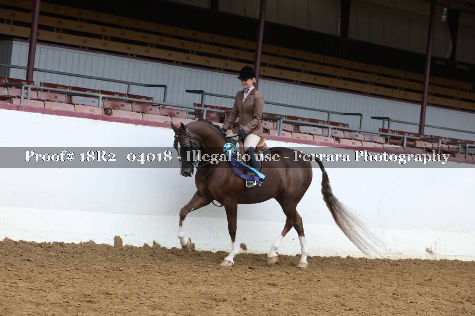 Proof Number 18R2_04018