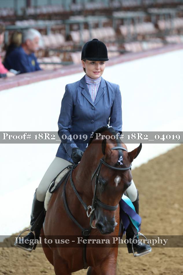 Proof Number 18R2_04019