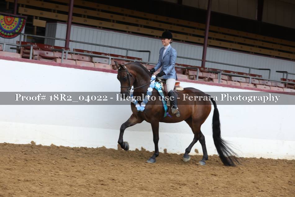 Proof Number 18R2_04022